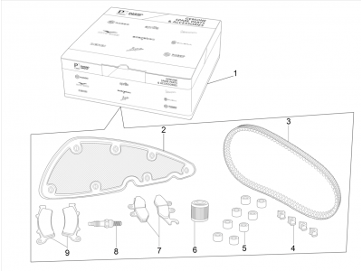 Complete wear and maintenance kit